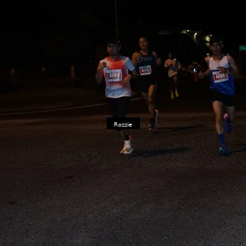 Runner Photo 4548499
