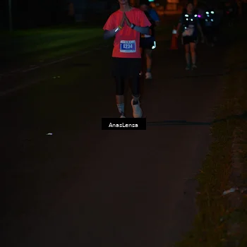 Runner Photo 4548570