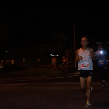 Runner Photo 4548632