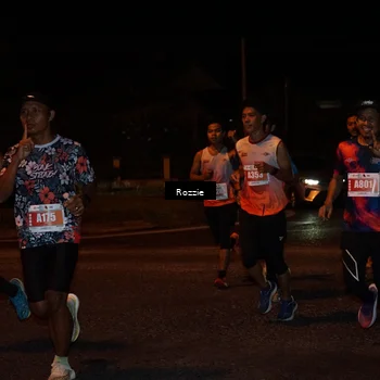 Runner Photo 4548739