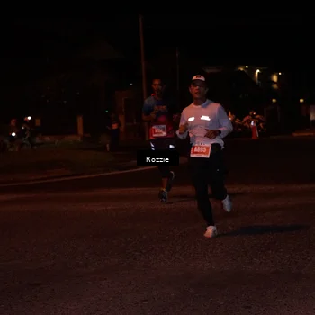 Runner Photo 4548740