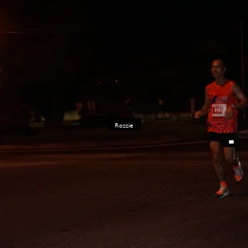 Runner Photo 4548758