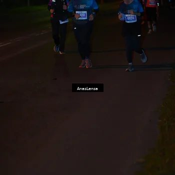 Runner Photo 4548868