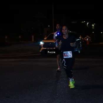 Runner Photo 4548878