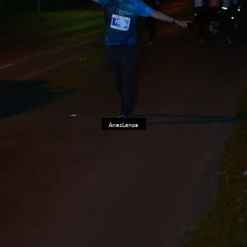 Runner Photo 4548883
