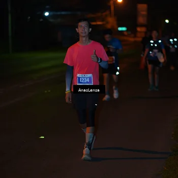 Runner Photo 4549040