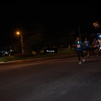 Runner Photo 4549132
