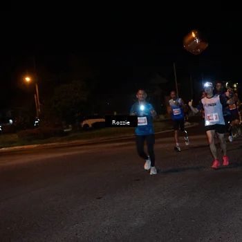 Runner Photo 4549147