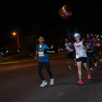 Runner Photo 4549159