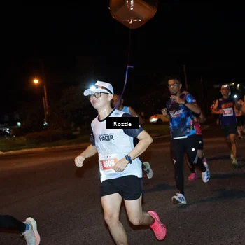 Runner Photo 4549167