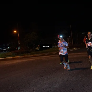Runner Photo 4549207