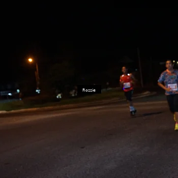 Runner Photo 4549216