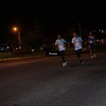 Runner Photo 4549251
