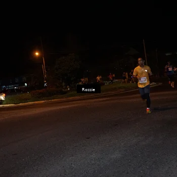 Runner Photo 4549280