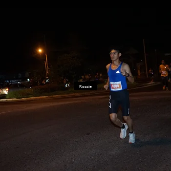 Runner Photo 4549410