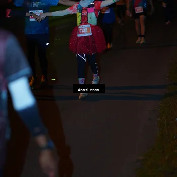 Runner Photo 4549418