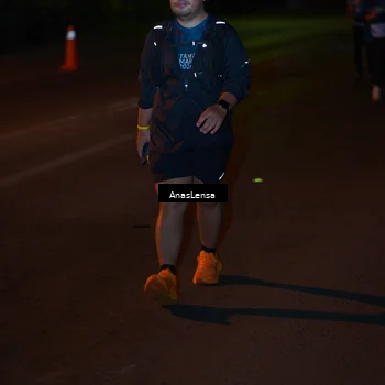 Runner Photo 4549441