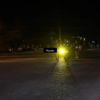 Runner Photo 4549465