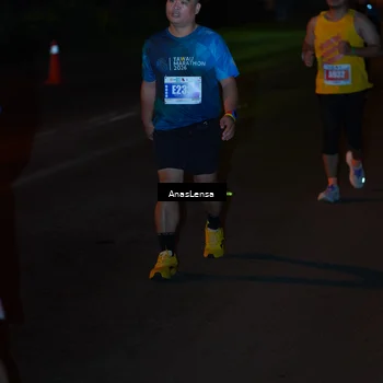 Runner Photo 4549526