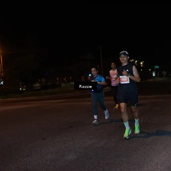 Runner Photo 4549527