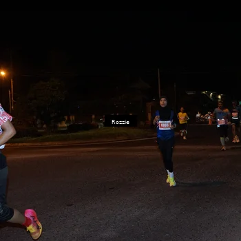 Runner Photo 4549712