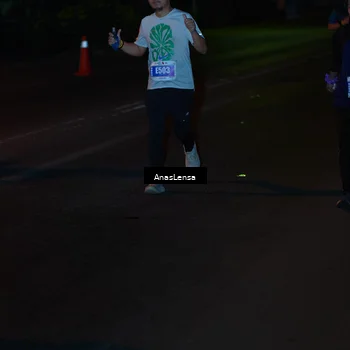 Runner Photo 4549748
