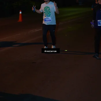 Runner Photo 4549760