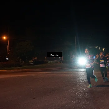 Runner Photo 4549801