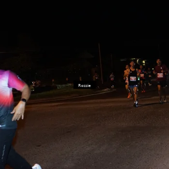 Runner Photo 4549824