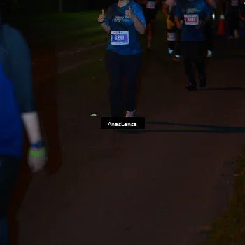 Runner Photo 4549835