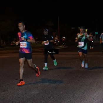 Runner Photo 4549875