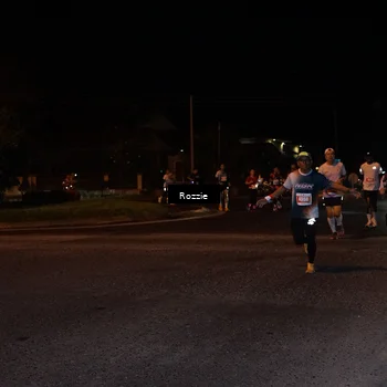 Runner Photo 4549941