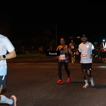 Runner Photo 4549978