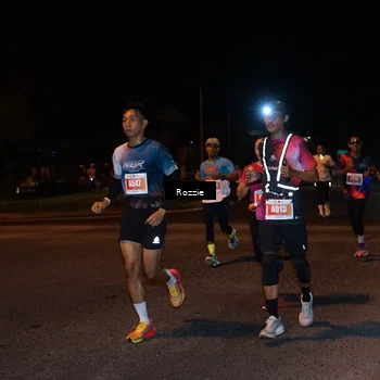 Runner Photo 4550002