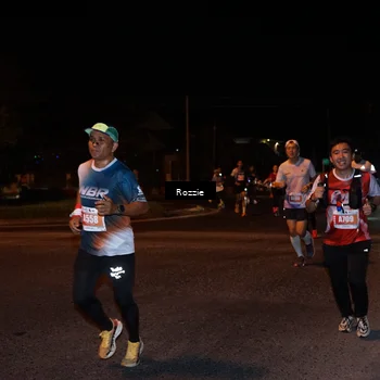 Runner Photo 4550015