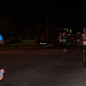 Runner Photo 4550063