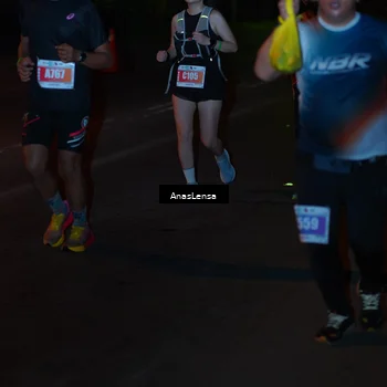 Runner Photo 4550092