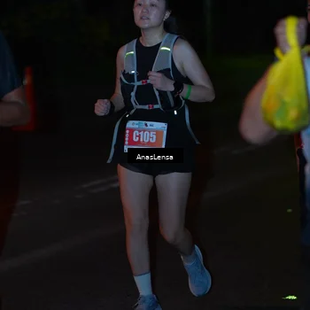 Runner Photo 4550103