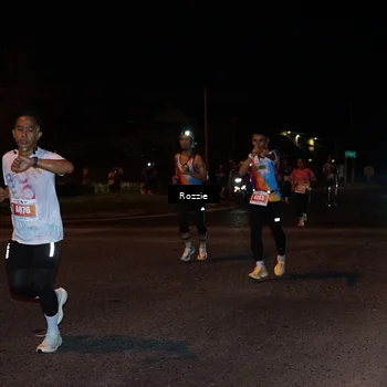 Runner Photo 4550131