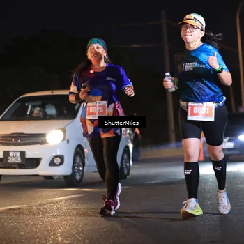 Runner Photo 4550138