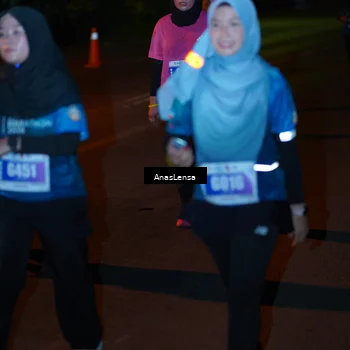 Runner Photo 4550192