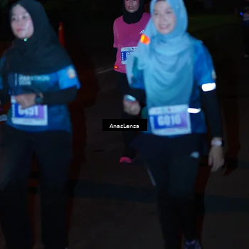 Runner Photo 4550199