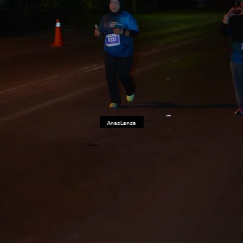 Runner Photo 4550244