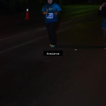 Runner Photo 4550247