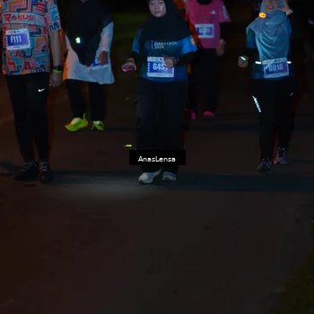 Runner Photo 4550253