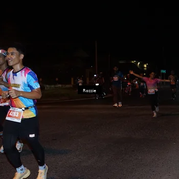 Runner Photo 4550263