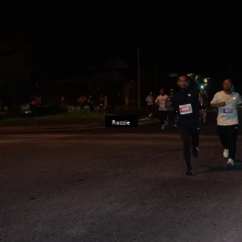 Runner Photo 4550270