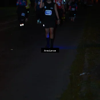 Runner Photo 4550286