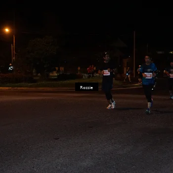 Runner Photo 4550346
