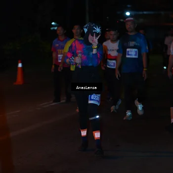 Runner Photo 4550356